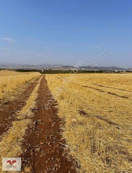 Bağdere Uzunömer'de Satılık Tarla(tek Tapu Kök Tapu)