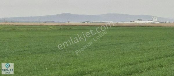 Bursa Uluabat Paşaçayırı Muhteşem Konumlu Satılık Arazi