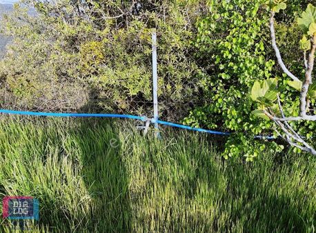 Kemalpaşa Damlacıkta 3410 M2 Kaçırılmayacak Fırsat Bağ Bahçe