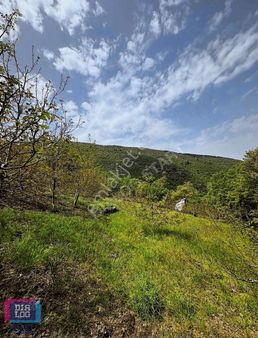 Kemalpaşa Bağyurdu Müstakil Tapulu 1400 M2 Satılık Tarla