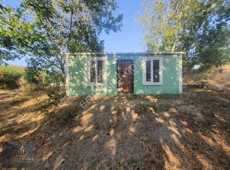 Yerleşim Yerinde Yetişkin Meyve Bahçesi