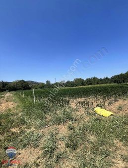 Bigaya Yürüme Mesafesinde Abtiağada Yatırımlık Arazi Fırsatı!!!