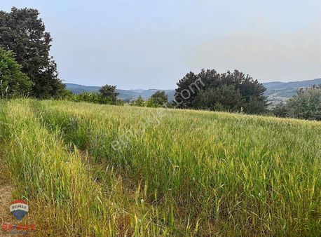 Lapseki Adatepe'de Emsal Altı Fiyatlı Harika Satılık Tarla