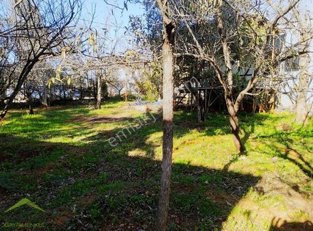 Aksu Pınarlı Da Mustakıl Ev