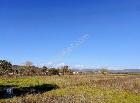 Bodrum Çamarasın'da 2.511 M2 Satılık Çiftlik Arazisi