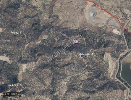 Germencik Hıdırbeyli 1771 M² Müstakil Tapu Zeytinlik Yolu Açık