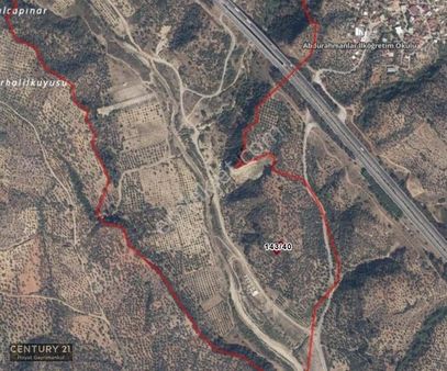 Germencik Kızılcapınar 573 M² Müstakil Tapu Zeytinlik