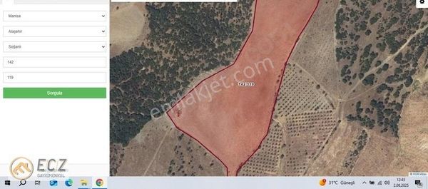 Ecz Gayrimenkul Den Satılık Tarla Soğanlı Mh Alaşehir