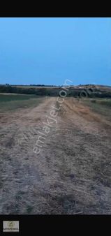 İdeal Den Seymen Mah 315 M2 Hisseli Tarla