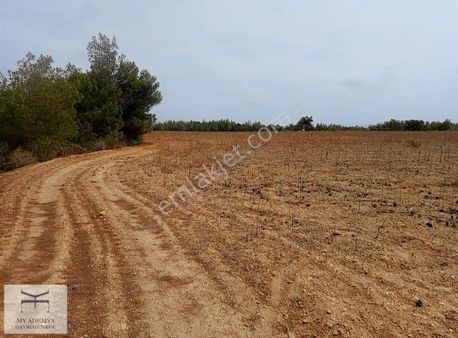 Sarıçam Ünlüce'de Köyünde 46 Dönüm Verimli Düz Tarla