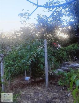 Akçatekir'de İmarlı-geniş Bahçeli Müstakil Ev..