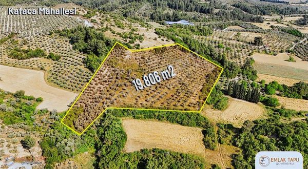 Muğla Menteşe Kafaca Mah. Satılık 19 Dönüm Tarla
