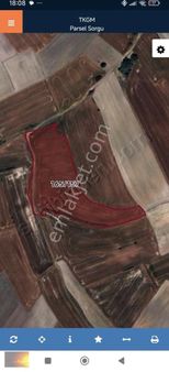 Tekirdağ Kapaklı Yanıkağılda Satılık Hisseli Tarla