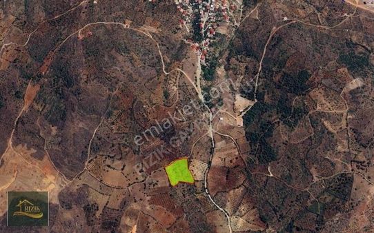 Rızık Gm' Den Önsen' De Yatırımlık Bağ(videolu)