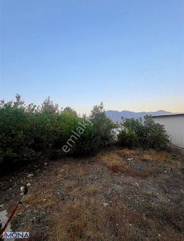 Yazır Sarıkavak Mevkii De Bungalov Yapımına Uygun Bahçe