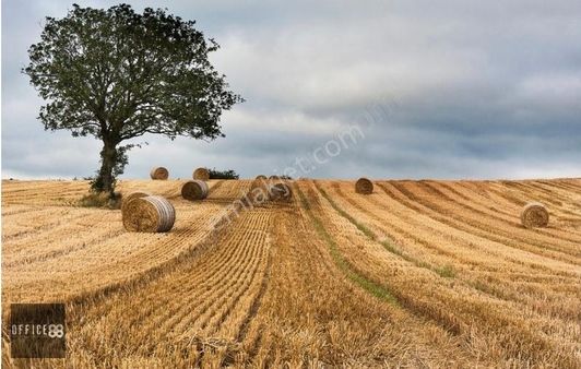 Manisa Ahmetli'de Konut İmarlı Satılık Arsa