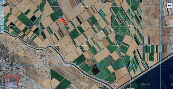 Suğla Da Satılık Tarla