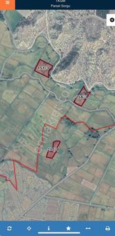 Ata Emlaktan Çeltik Tarlası