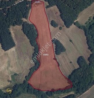 Tekirdağ Saray Küçükyoncalıda 5.500 M² Hisseli Satılık Tarla!