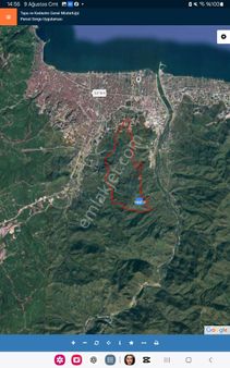 751 - Ordu/altınordu Terzili Mahallesin'de 5 Dönüm Satılık Fındık Bahçesi 6750