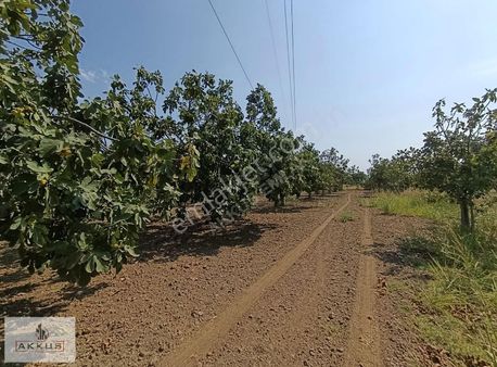 Akkuş Emlak'tan İmar İçerisinde İncirlik