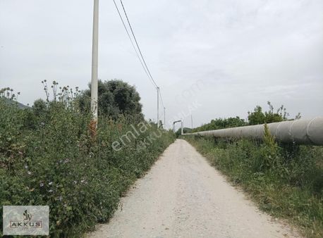 Akkuş Emlaktan Yola Sıfır Bahçe