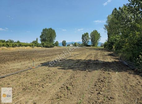 The World Seller'den İznik Göl Kıyısında Mükemmel Yaşam Alanı