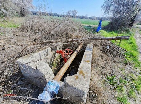 Aydın Efeler Kızılcaköy De Satılık 12 Dönüm Tek Tapu Tarla