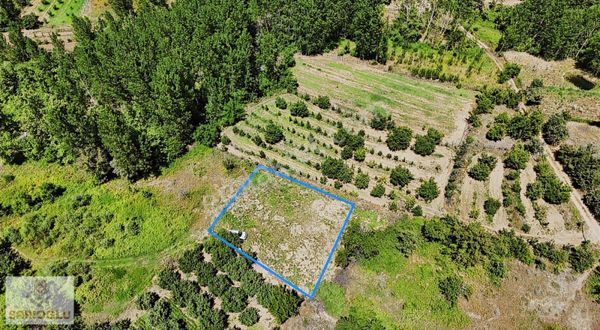 Bayramiç Beşik Köyünde Yatırımlık Tarla