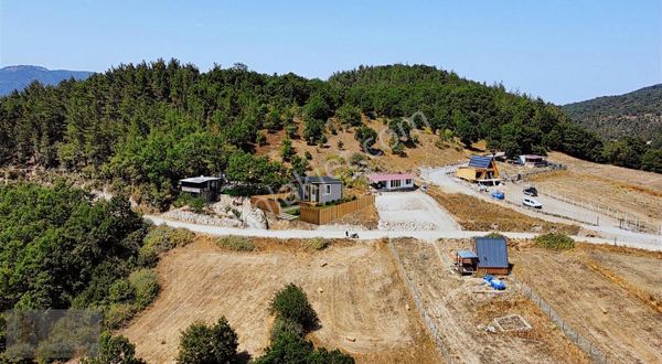 Çanakkale-biga-akkayrak Köyü Mevki- Satılık Tarlamız