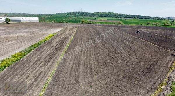 Çanakkale-biga-göktepe Köyü- Satılık Tarlamız