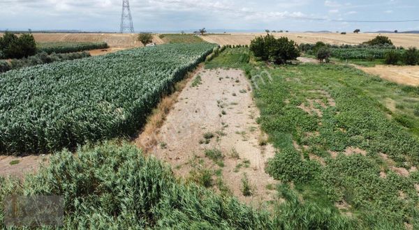 Çanakkale- Biga-örtülüce Köyün'de- Satılık Tarla