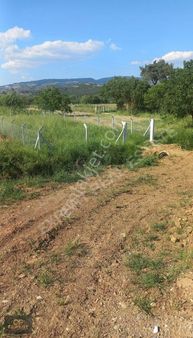 Kusadası Cnar Köyünde Satılık Tarla