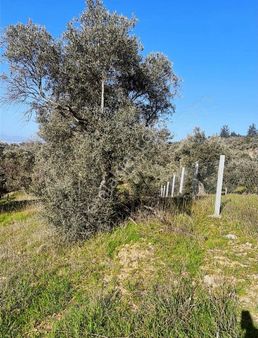 Yükselen'den Çapakta Hisseli 800 M2 Elektrik Su Aktif Manzaralı