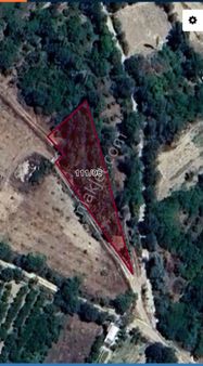 Kayalargroup'tan Kuzköy'de 894 M2 Satılık Bahçe