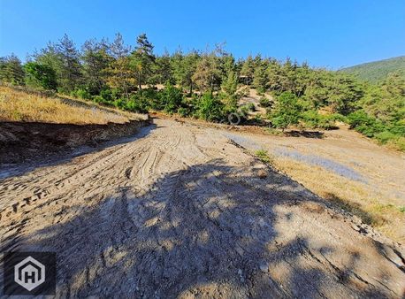 Orhaneli Çınarcık'ta 6030mt2 Tek Tapu Yatırımlık Tarla