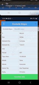 Karacalar Mevkii Ekili Tarla