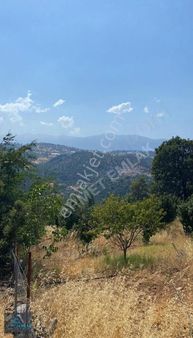 Antalya Konyaltı Doyran Mah. Satılık 1985mk Tarla