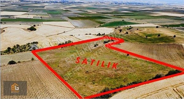 Amasya/merzifon Satılık Uygun Yolu Olan Tarla