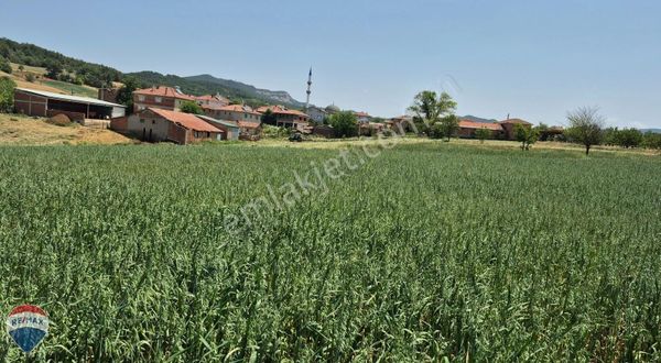 Remax Mavi'den Göynük'te Yarısı İmarlı Resmi Yollu 4.352 M²arazi