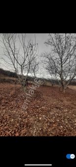 Kayalargroup'tan Burdur Kemer Yakalar'da 3142 M2 Satılık Tarla