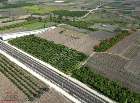 Pamukova Karapınar Mah Satılık Verimli Armut Bahçesi