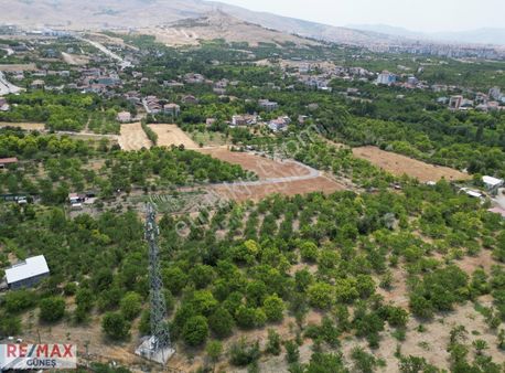 Orduzu'da İmara Sıfır 11 Dönüm Müstakil Tapu Kayısı Bahçesi