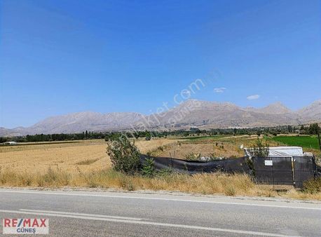 Doğanşehir Polat Mah Asfalta Sıfır 3 Dönüm Satılık Hobi Bahçesi