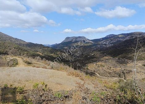 Gazipaşa Göçük Köyü'nde 18.600 M² Satılık Verimli Tarla