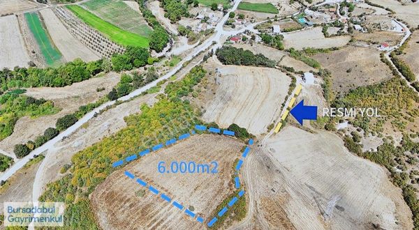 Bursadabul'dan Derekadı Mah Genişleme Konumda Tarla 6.000.m2