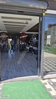 Söğütlü Bozyerde Çeşitli M2 De Satlık Mt 2250tl