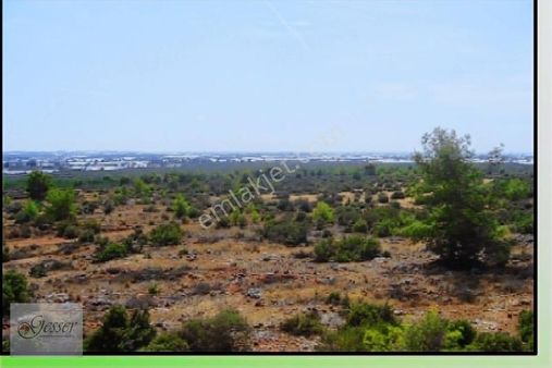 Topallı'da 426 M2 Köşe Satılık Villa İmarlı Manzaralı Arsa..