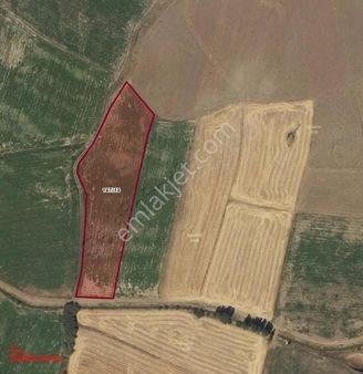 Hedef Emlaktan Gemerek Burhanda Ekilebilir Sulak Arazi 7 Dönüm