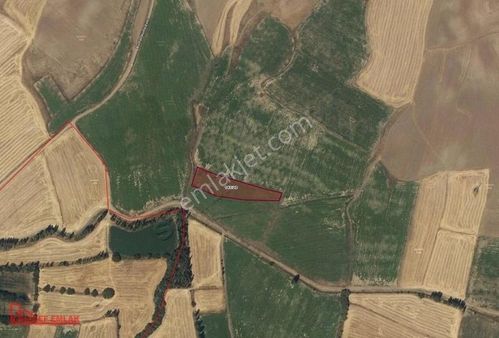 Hedef Emlaktan Gemerek Burhanda Ekilebilir Sulak Arazi 3 Dönüm